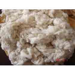 Cotton Droping